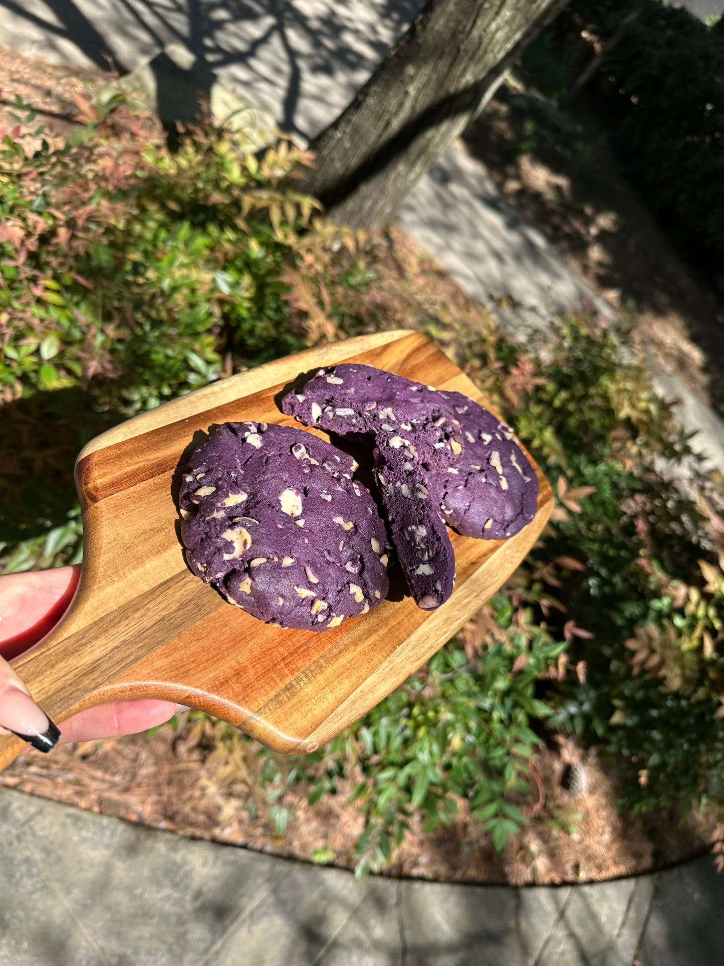 Ube Macadamia Nut